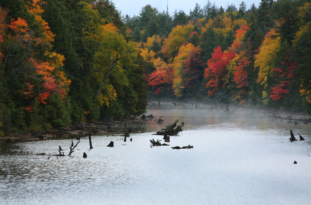 Algonquin in the Fall with silver lakes