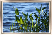 Load image into Gallery viewer, [Professional Photographic Home Decor Online] - Iconic Images
