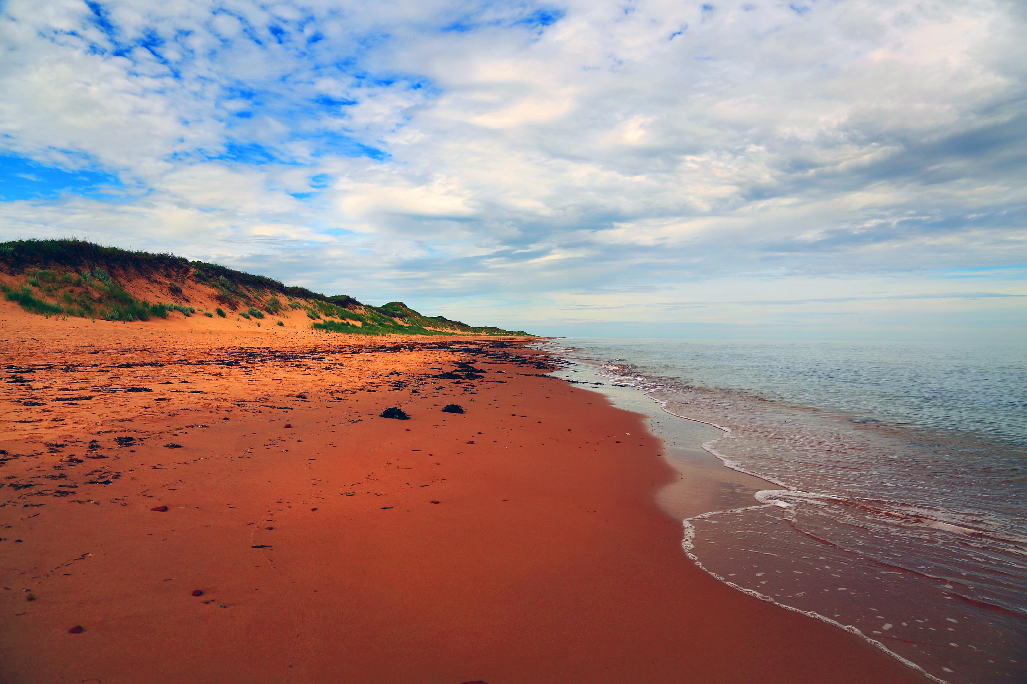 Morgen afstemning Stipendium North Coast PEI red sandy beach | Iconic Images