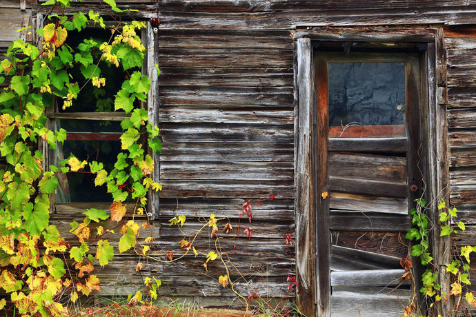 [Professional Photographic Home Decor Online] - Iconic Images