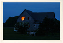 Load image into Gallery viewer, Horse in the Night
