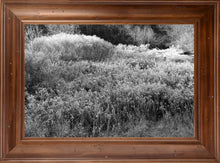 Load image into Gallery viewer, [Professional Photographic Home Decor Online] - Iconic Images
