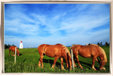 Load image into Gallery viewer, Lighthouse Stables
