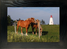 Load image into Gallery viewer, Lighthouse Stables Two
