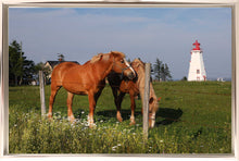 Load image into Gallery viewer, Lighthouse Stables Two
