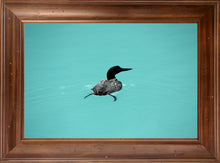 Load image into Gallery viewer, Emerald Lake Loon
