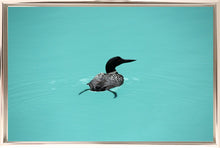 Load image into Gallery viewer, Emerald Lake Loon
